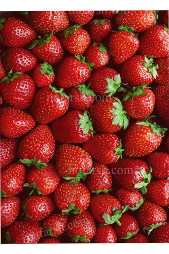 فرشینه آشپزخانه طرح توت فرنگی کد ۷۰۴۲