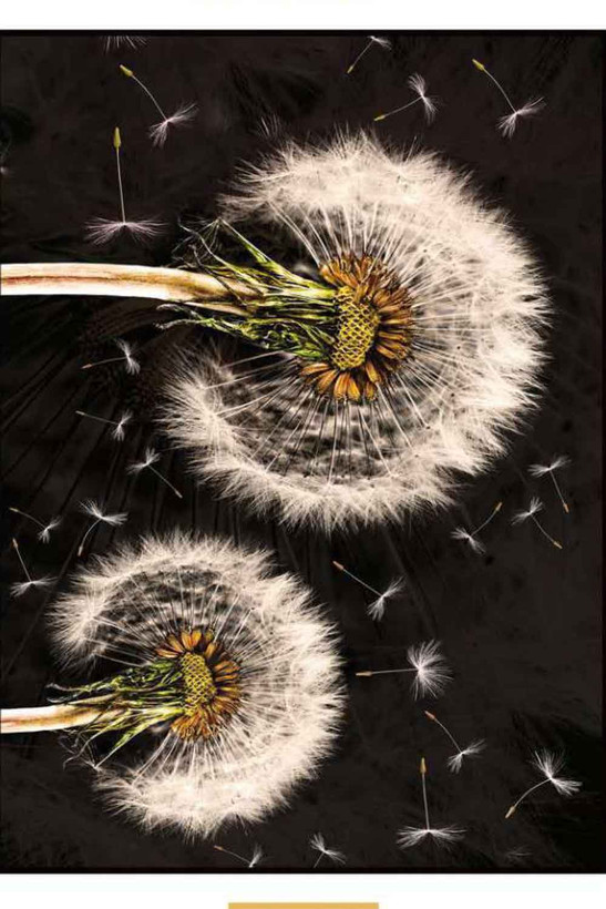 فرشینه مدرن طرح زمینه مشکی کد۸۰۵۶